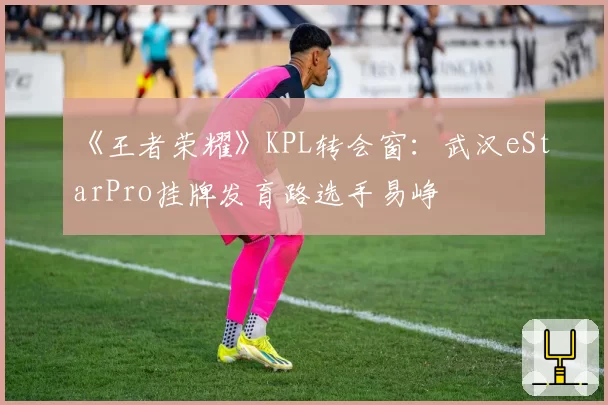 《王者荣耀》KPL转会窗:武汉eStarPro挂牌发育路选手易峥