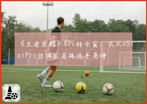 《王者荣耀》KPL转会窗:武汉eStarPro挂牌发育路选手易峥